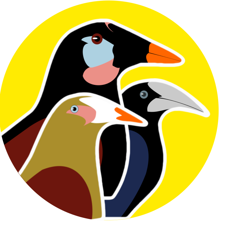 Les trois oiseaux du logo Psarocolius